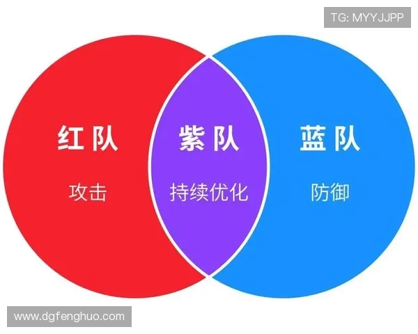 武汉排球队防反战术解析:深度剖析排球比赛中的攻防策略与团队配合