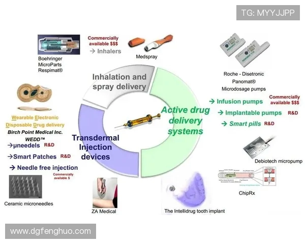 北京乒乓球队在欧锦赛中的技术表现分析与未来展望